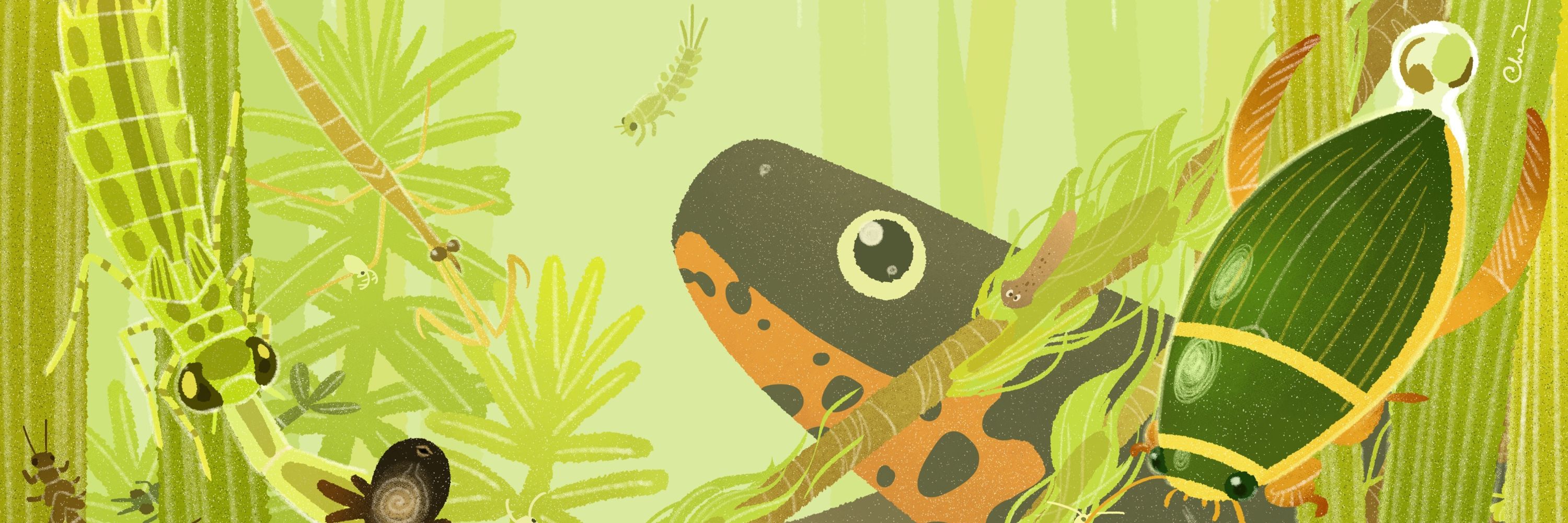 Chentomology