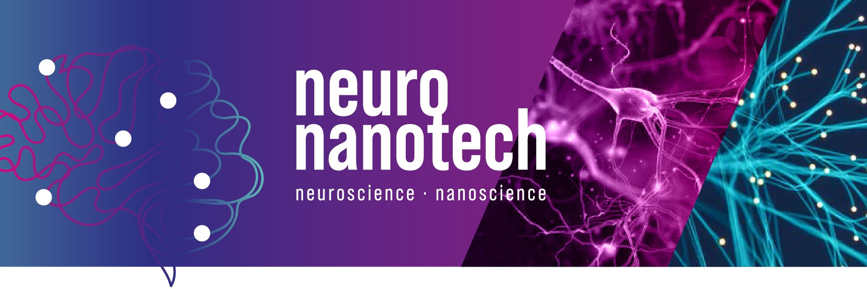 NeuroNanotech MSCA Doctoral Network