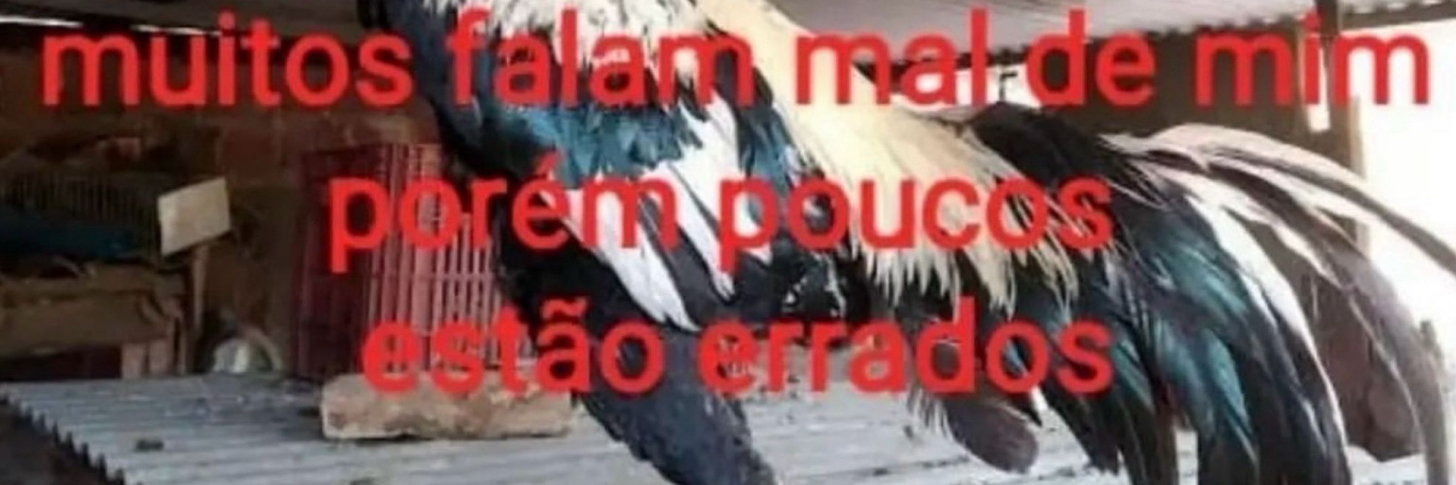 Tio do Inglês
