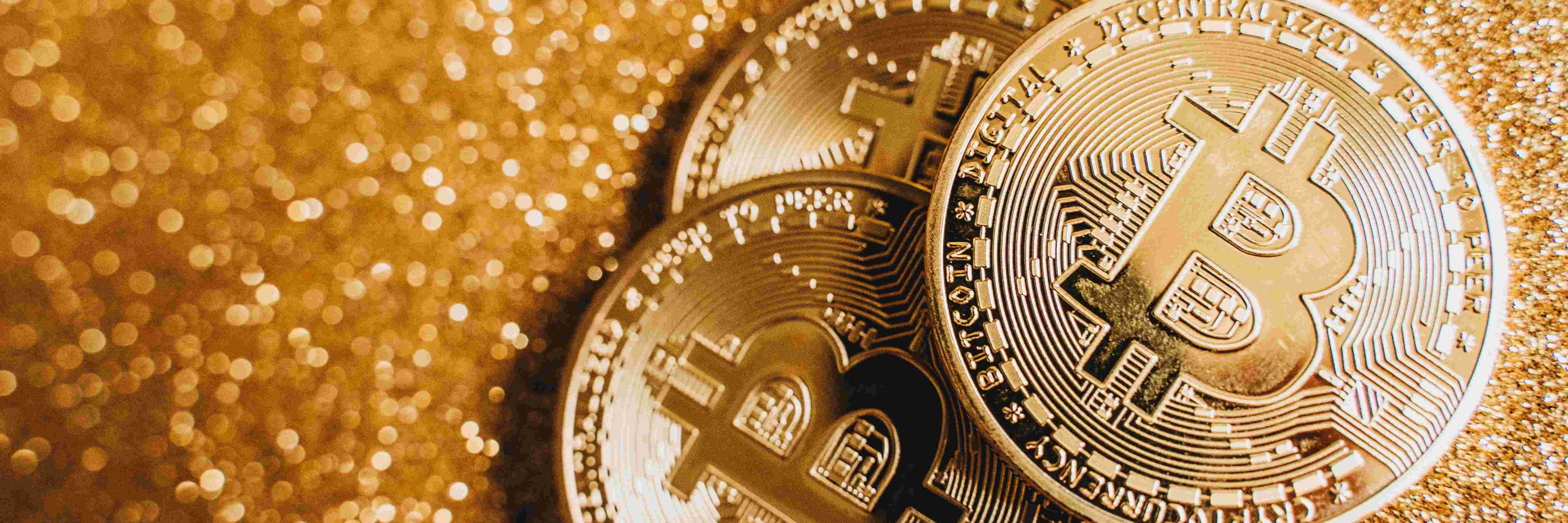 Pandavana Crypto News