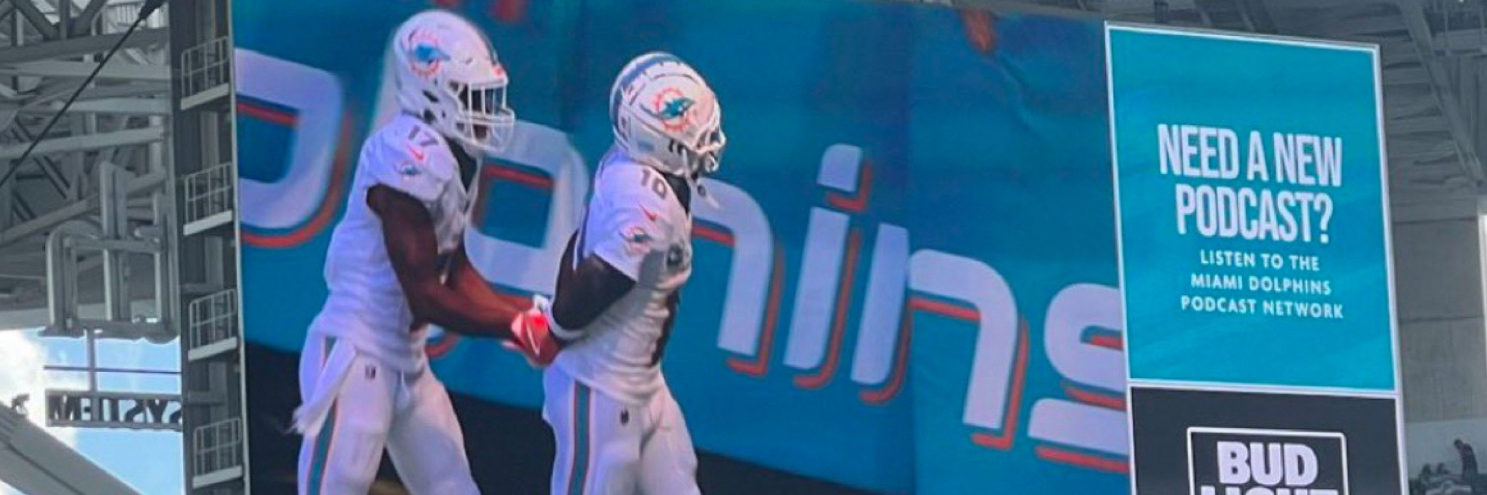 Dolphins Props