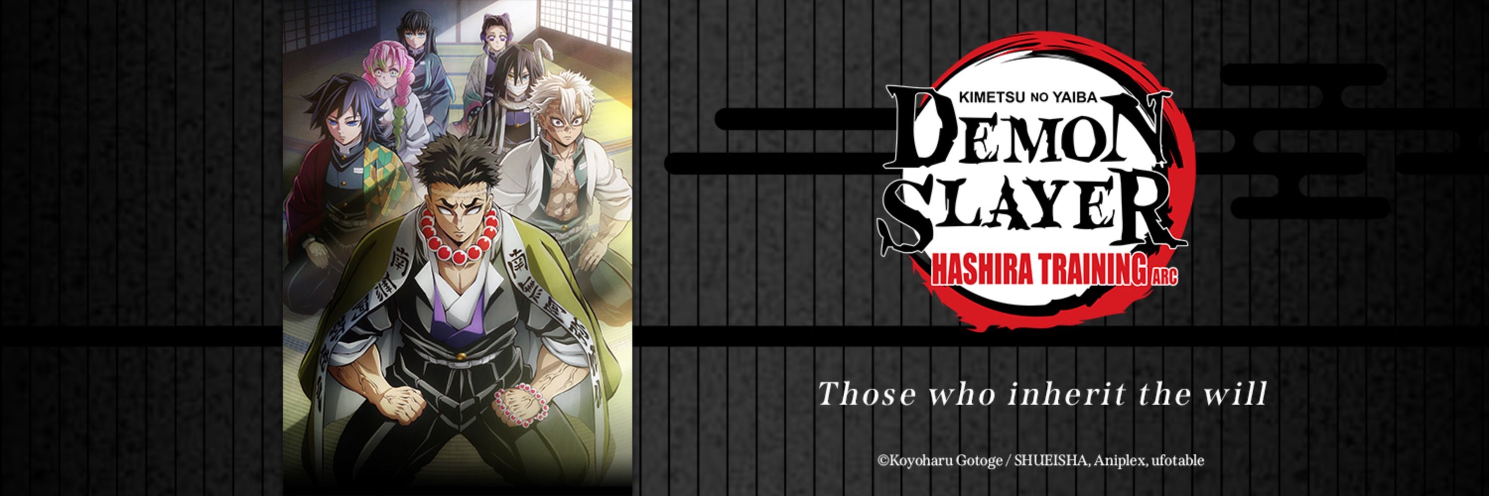 Demon Slayer: Kimetsu no Yaiba (English)