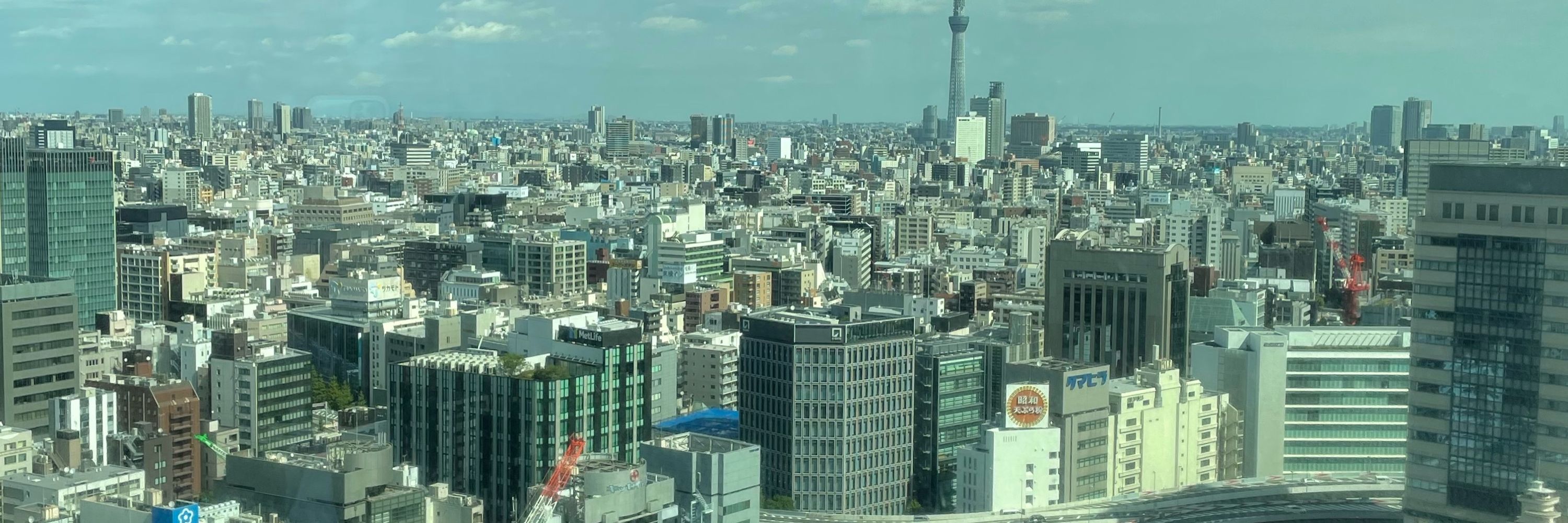 エグゼ