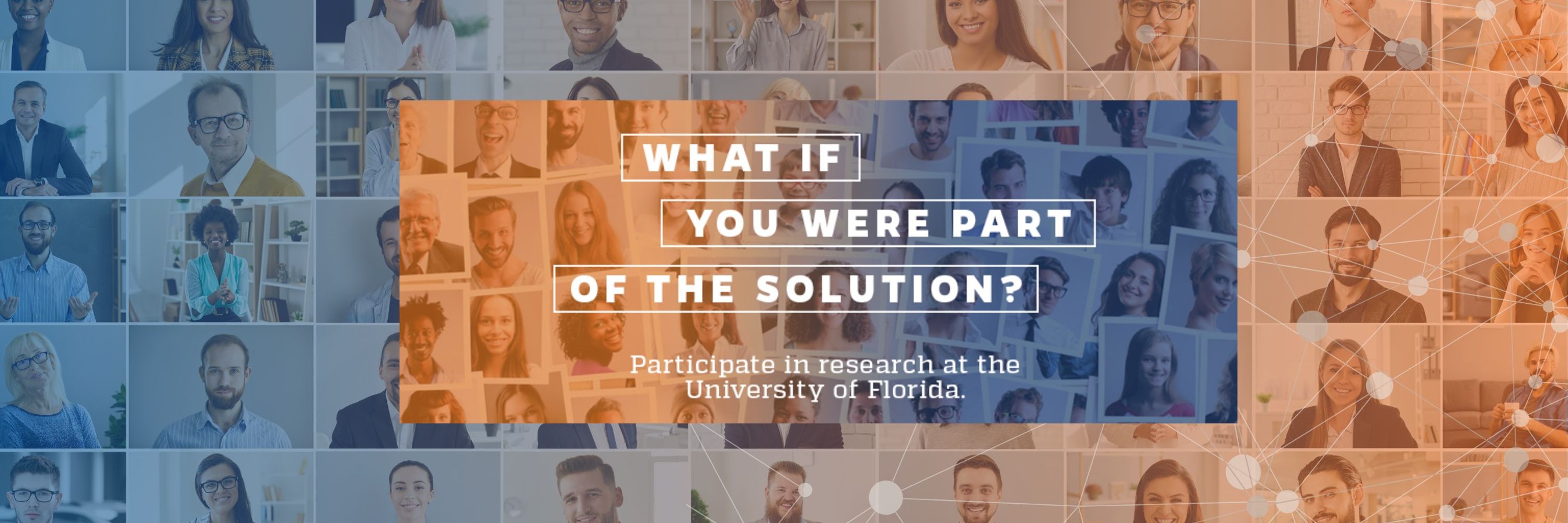 UF Studies