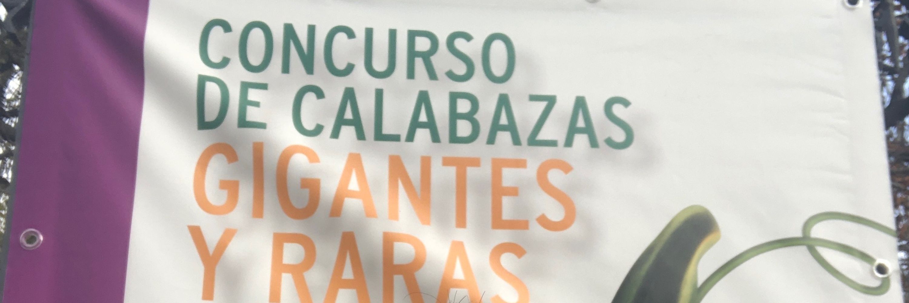 carlos