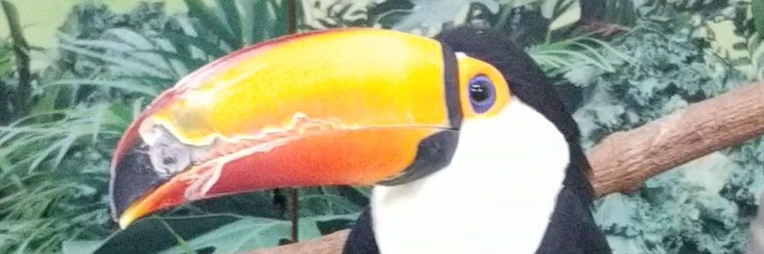 あおき