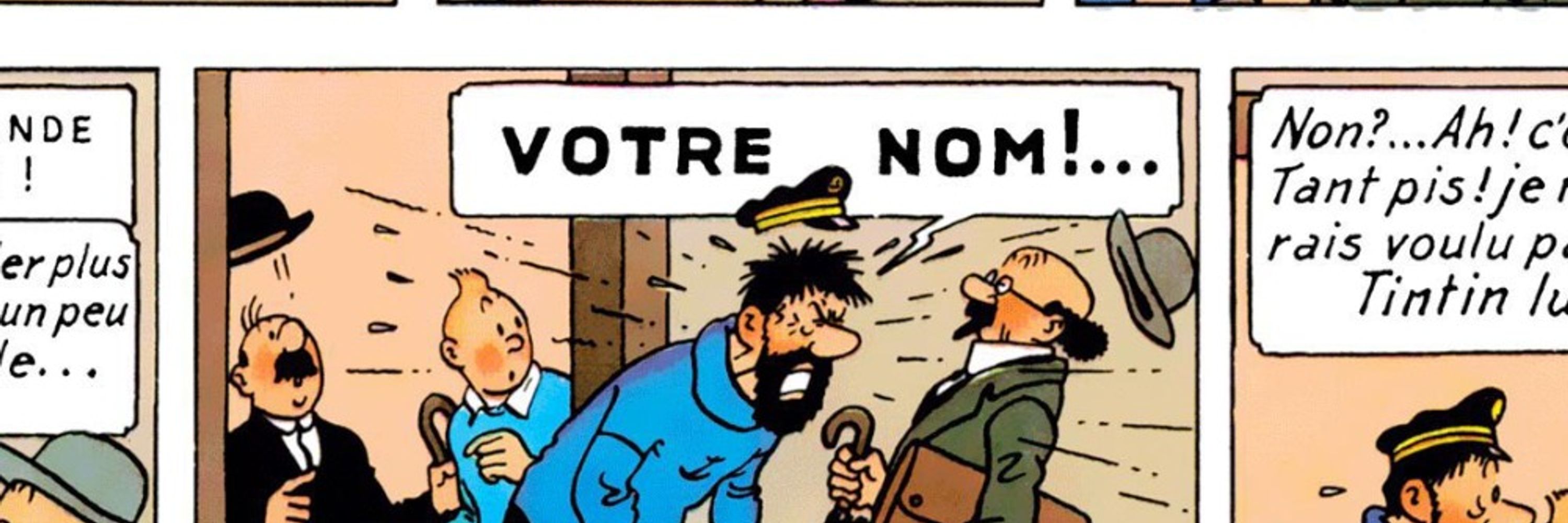 Professeur Tournesol