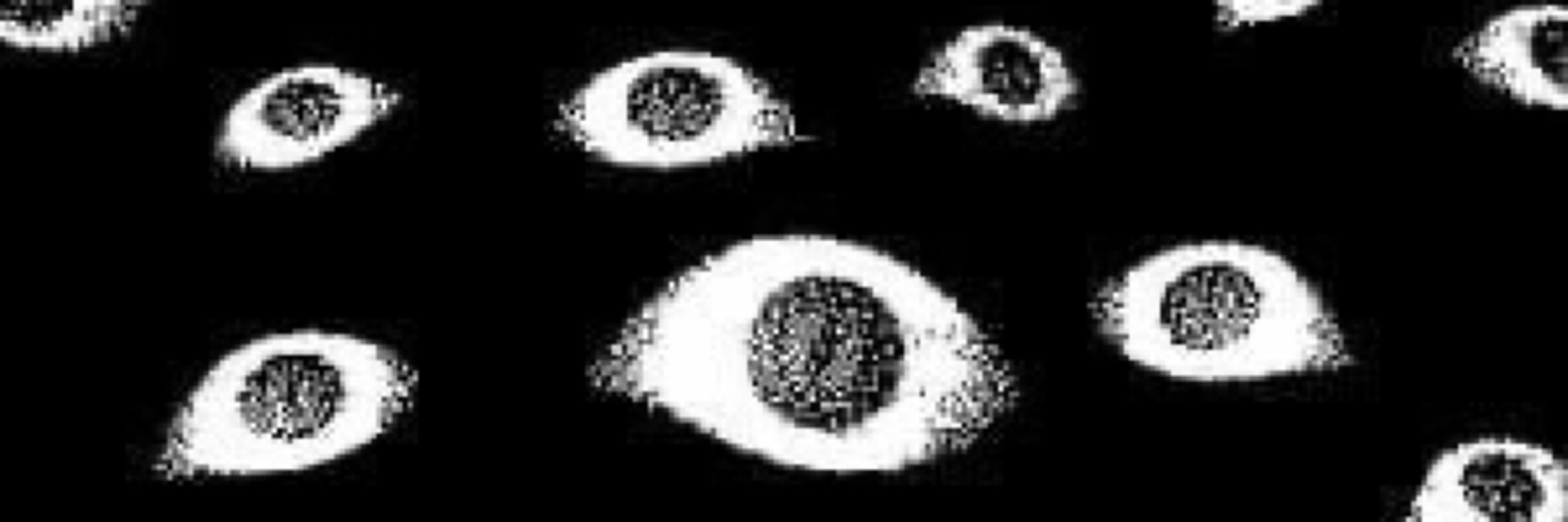 ALL SEEING EYE
