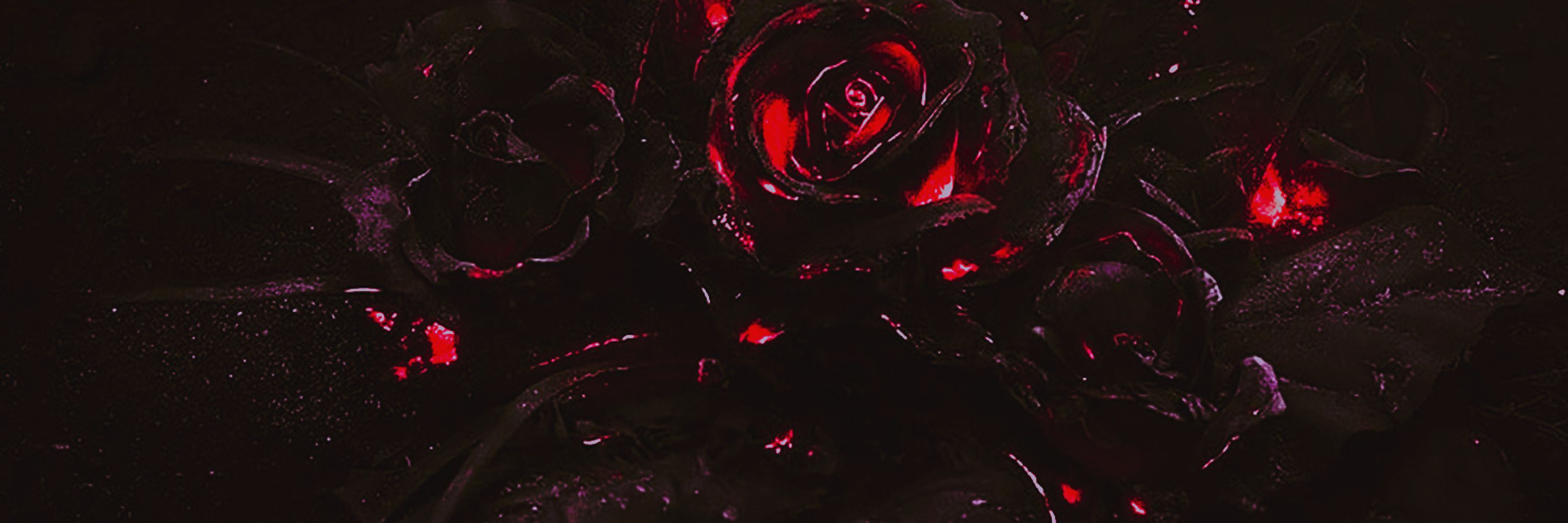 ;𝐿𝑢𝑐𝑎