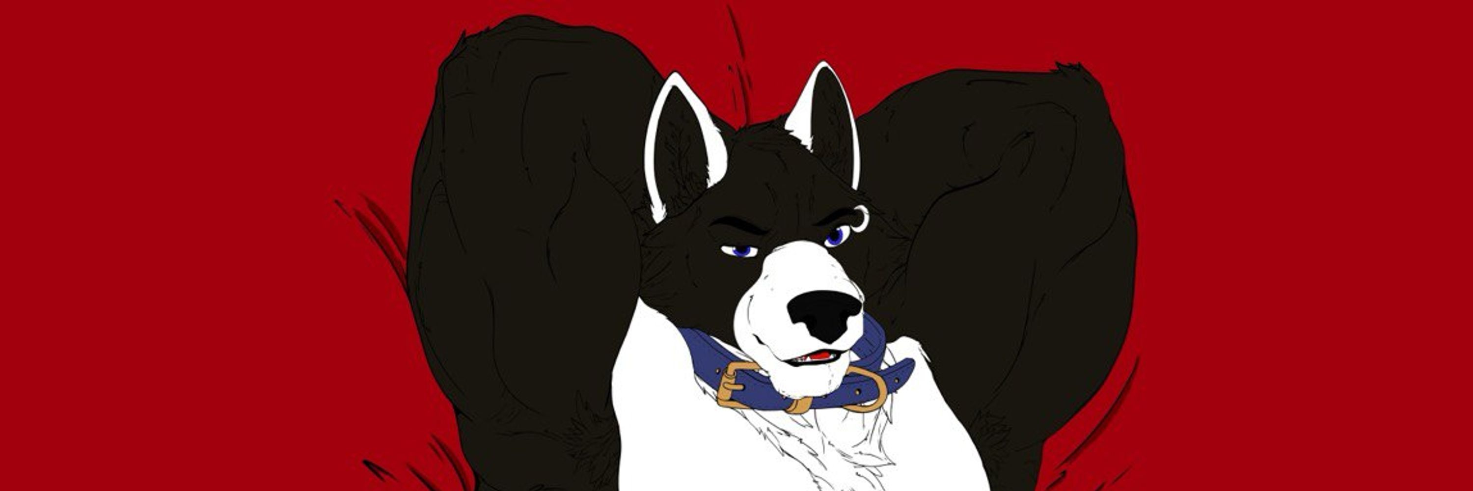 Shadow ShepskyAD