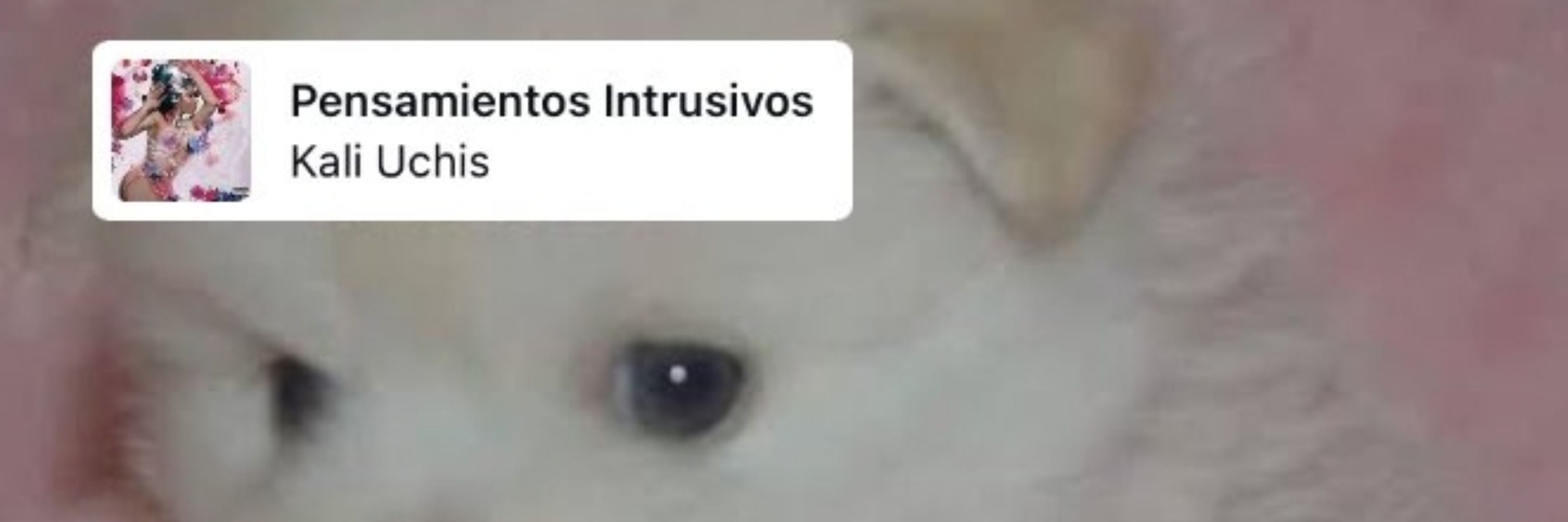 MAY