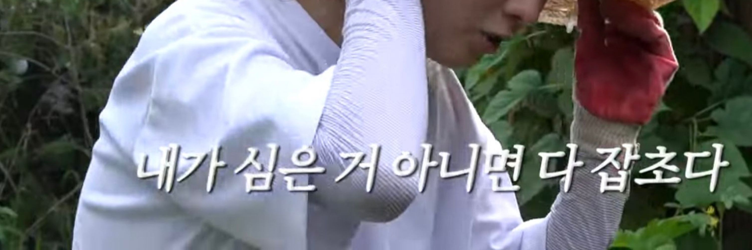 호즈