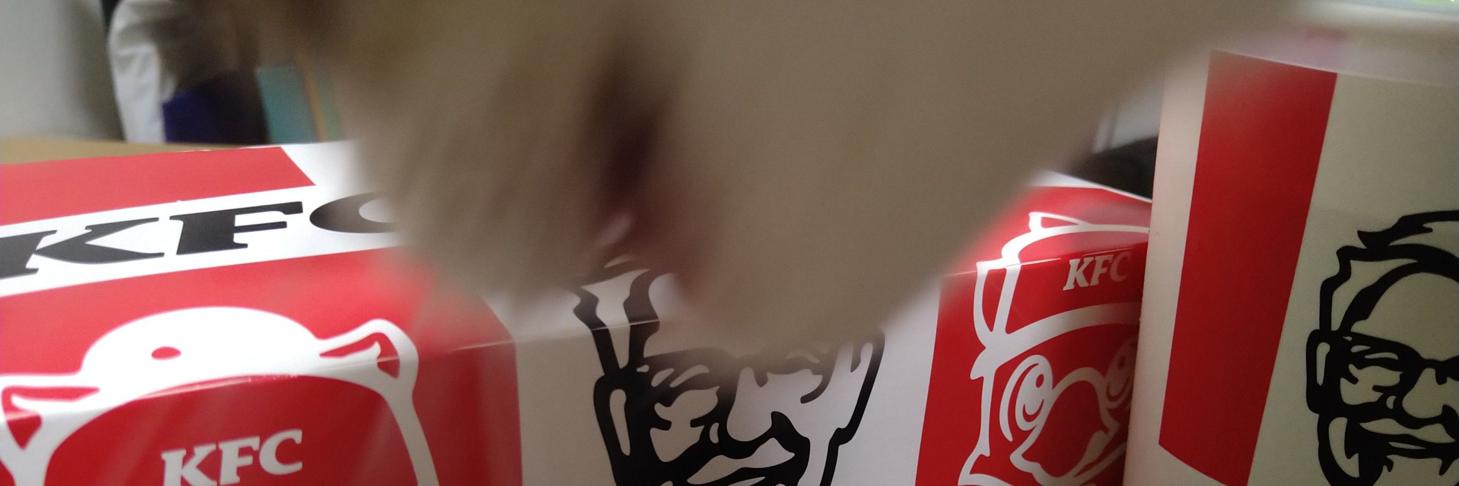 銀狐