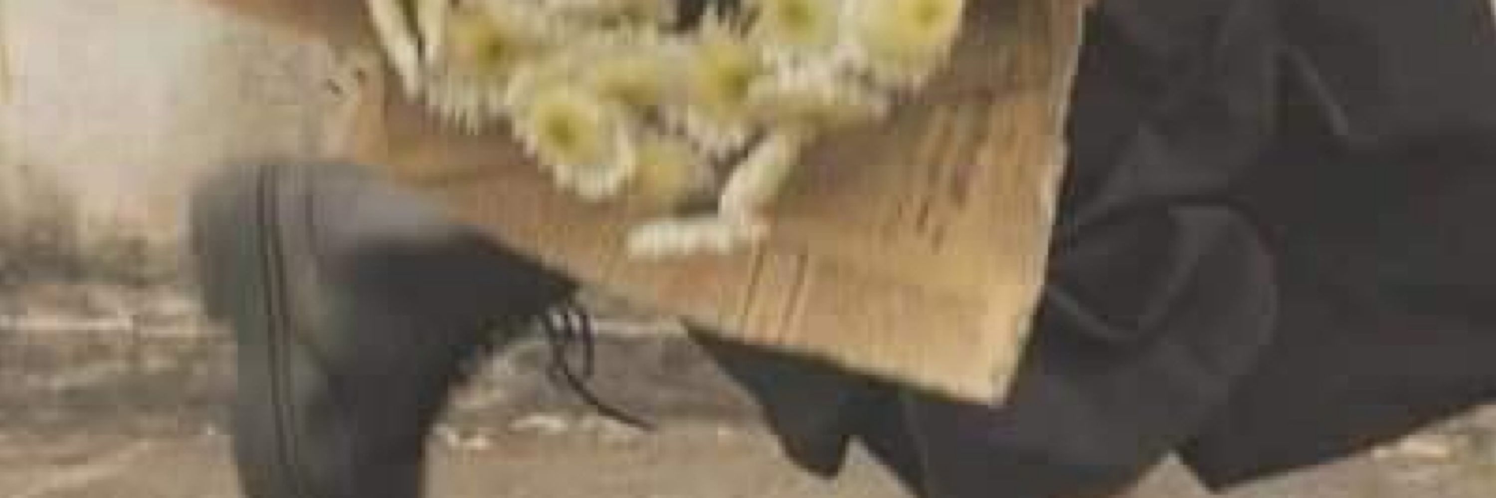 Sillycloud