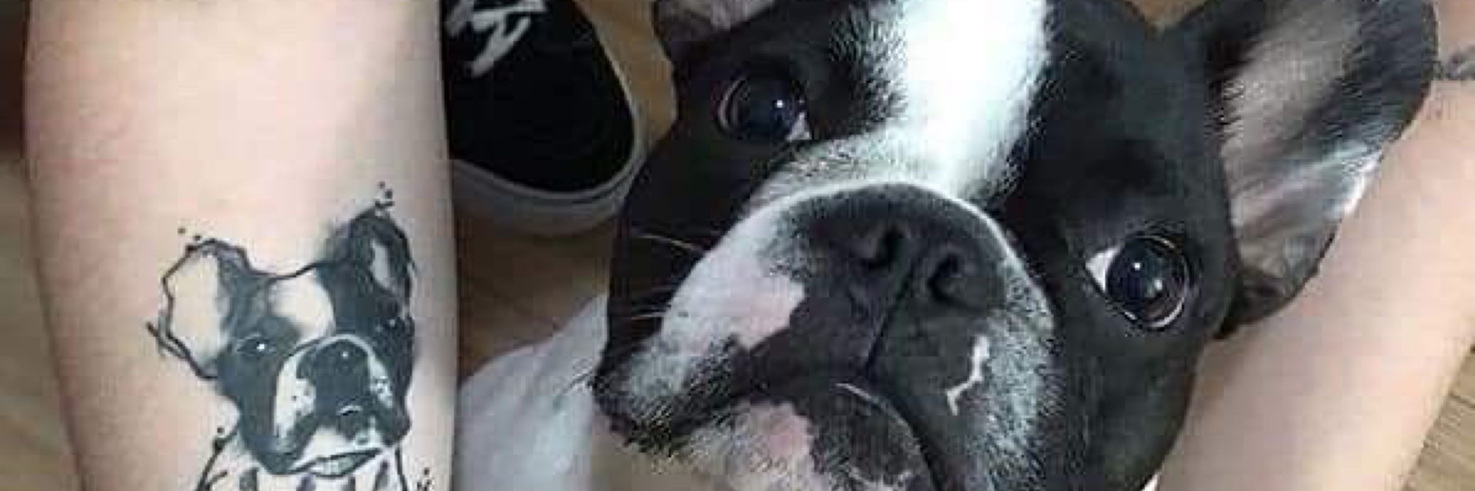 WAYNE