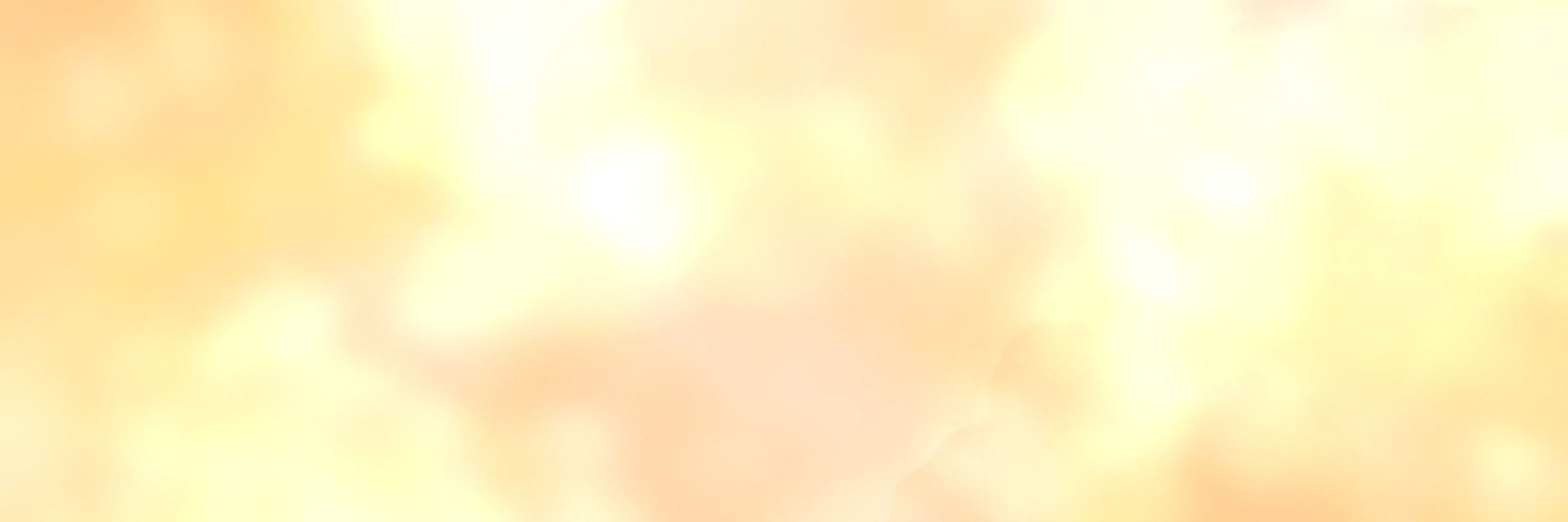 きるしゅ