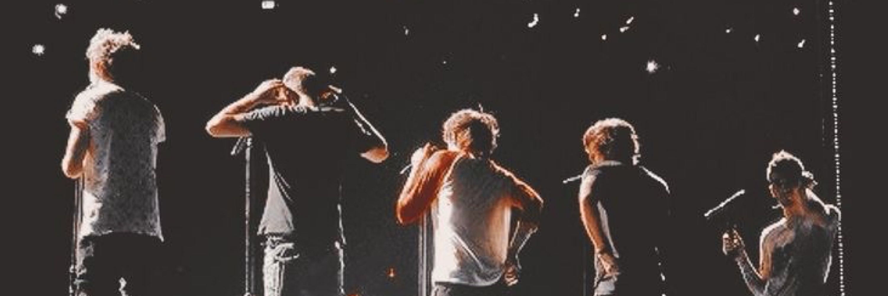 Line saw Lou and Niall 💚🧡💙