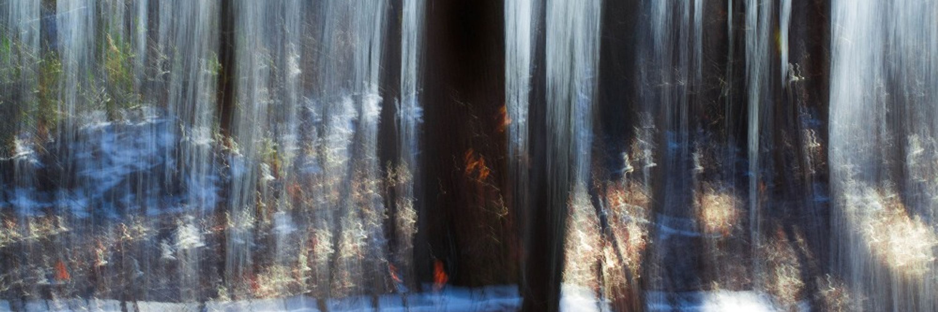 Timothy Burke