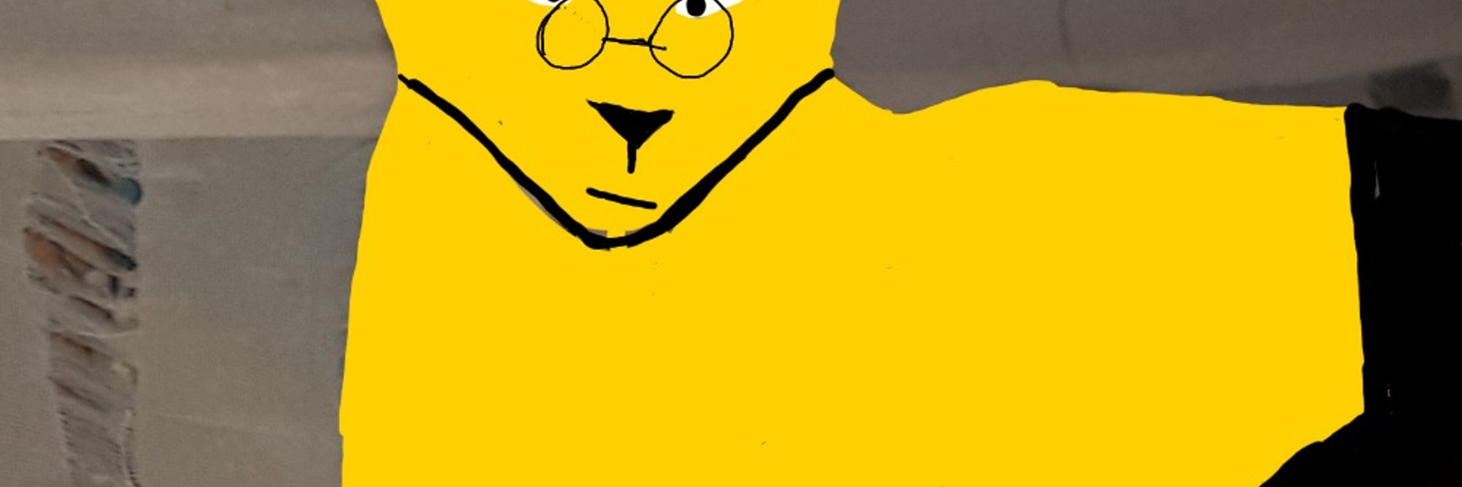 LucaTheShinx