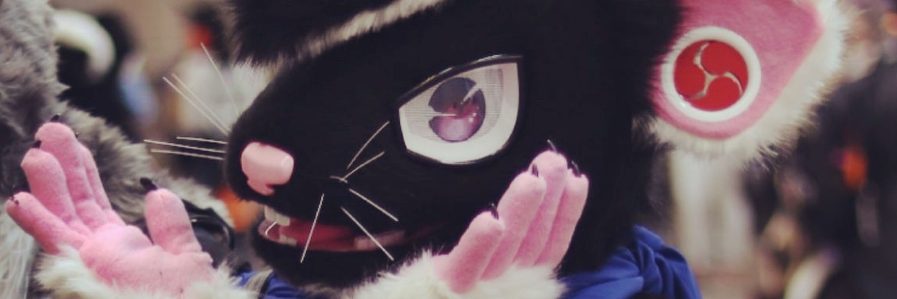 Furrydesu