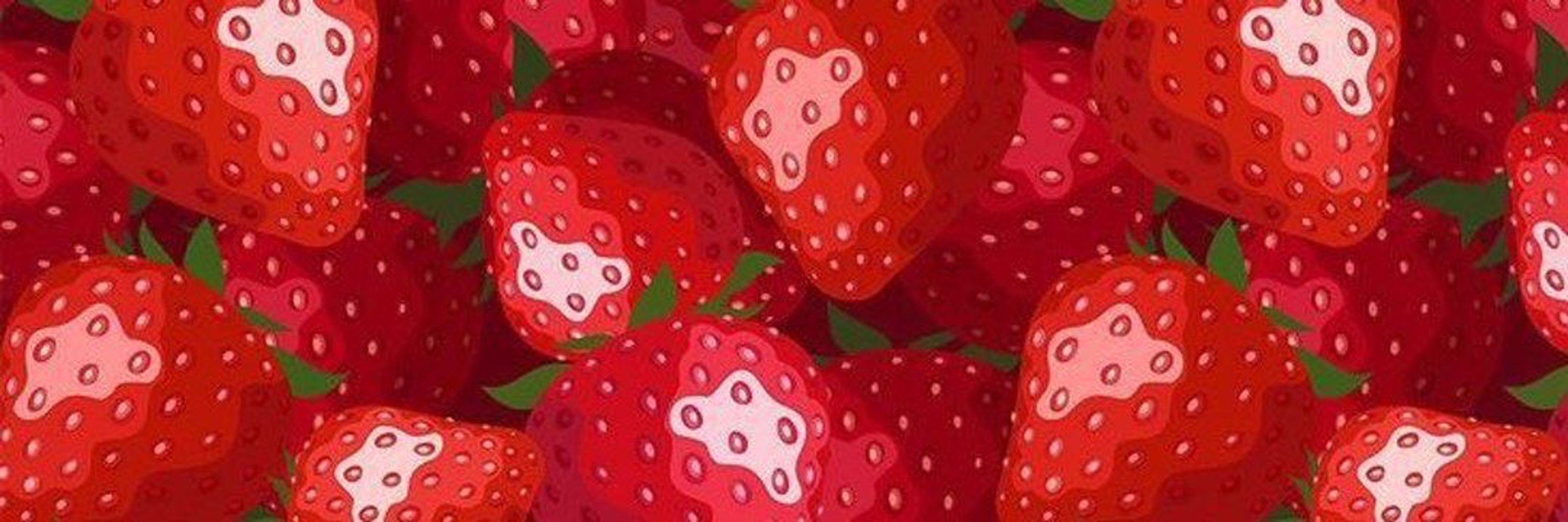 ~ apollo 🍓