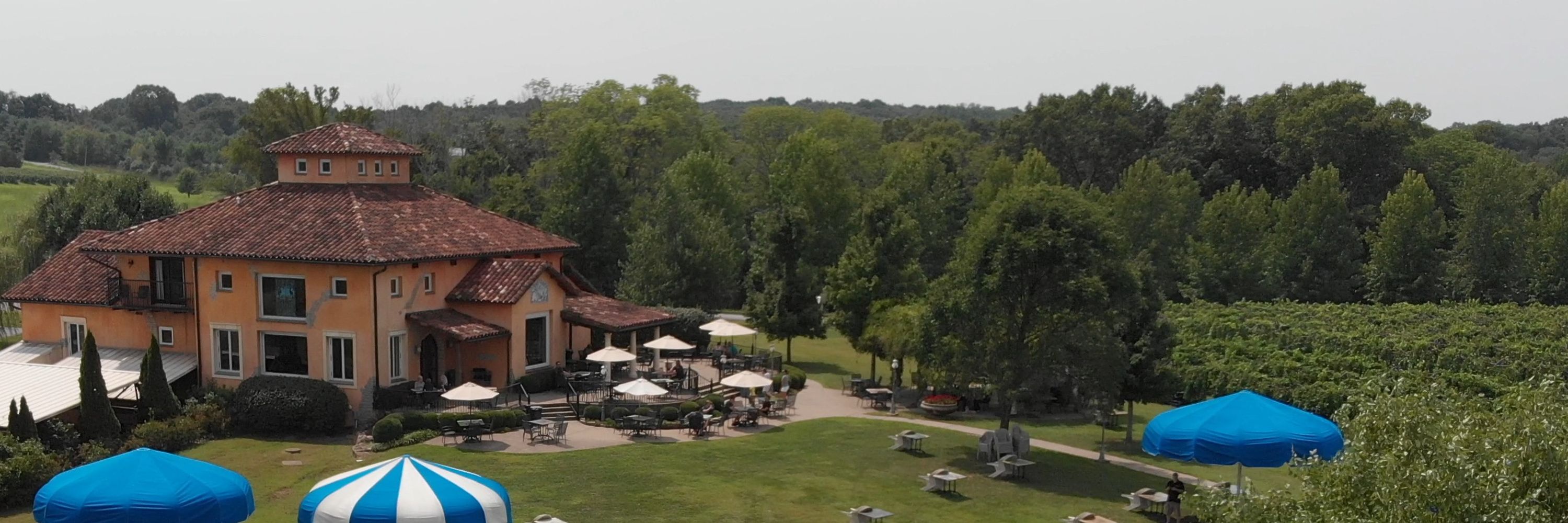Blue Sky Vineyard