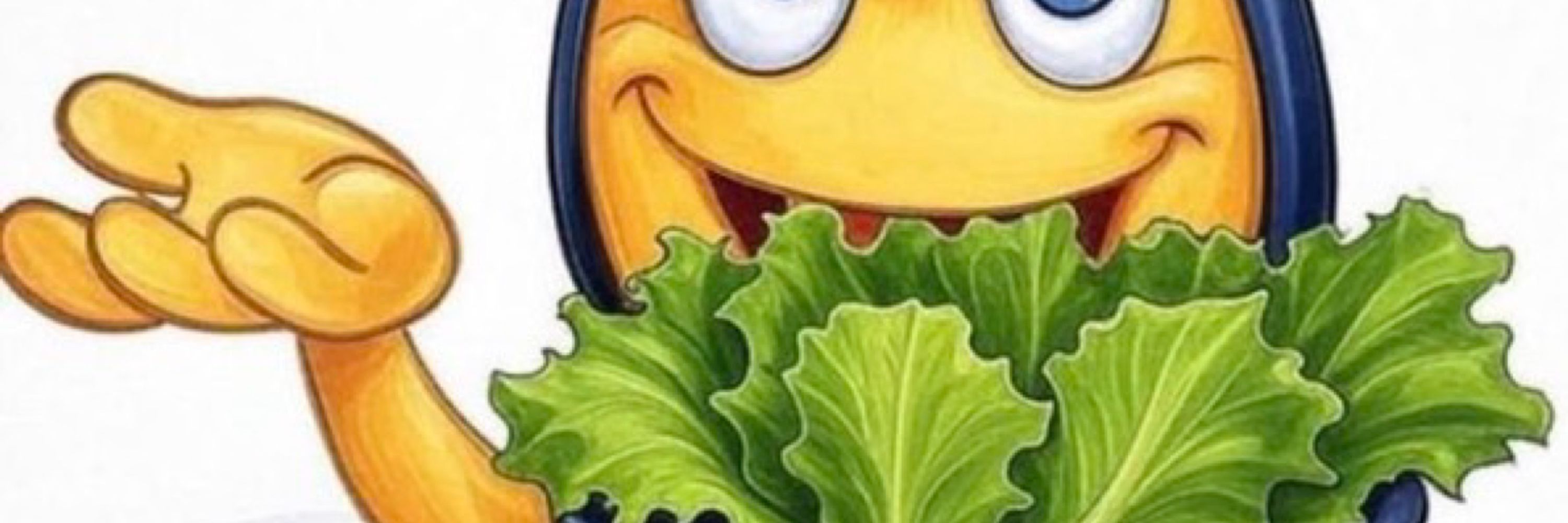 Lorax