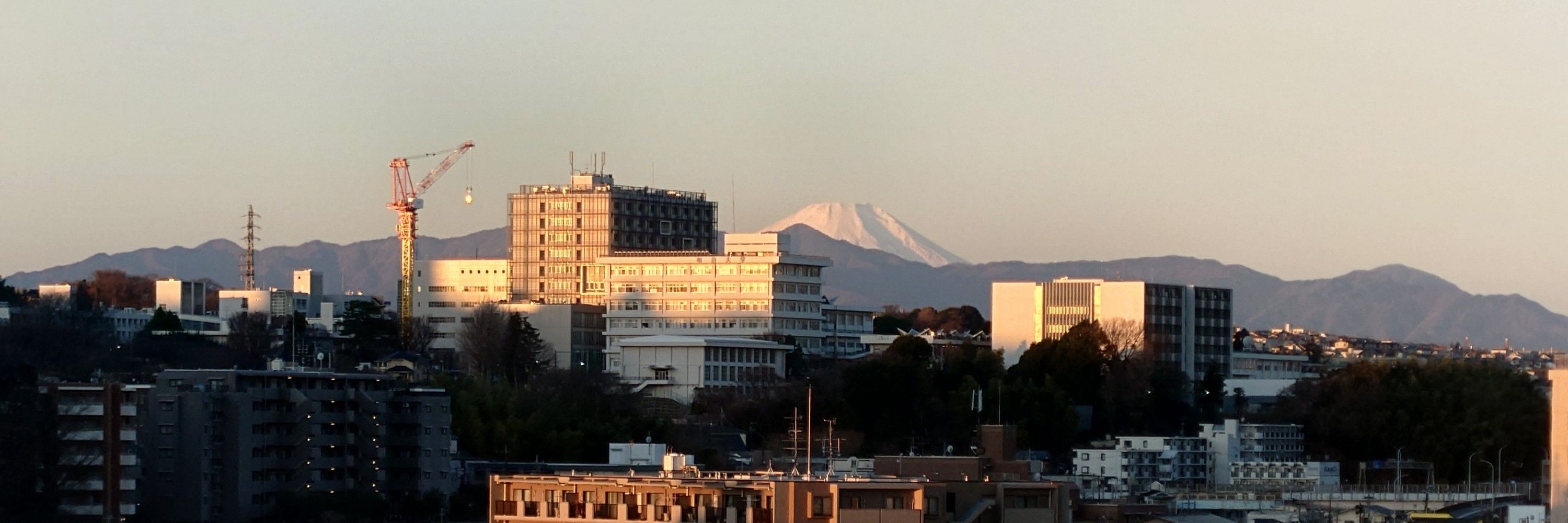 ゆうきん