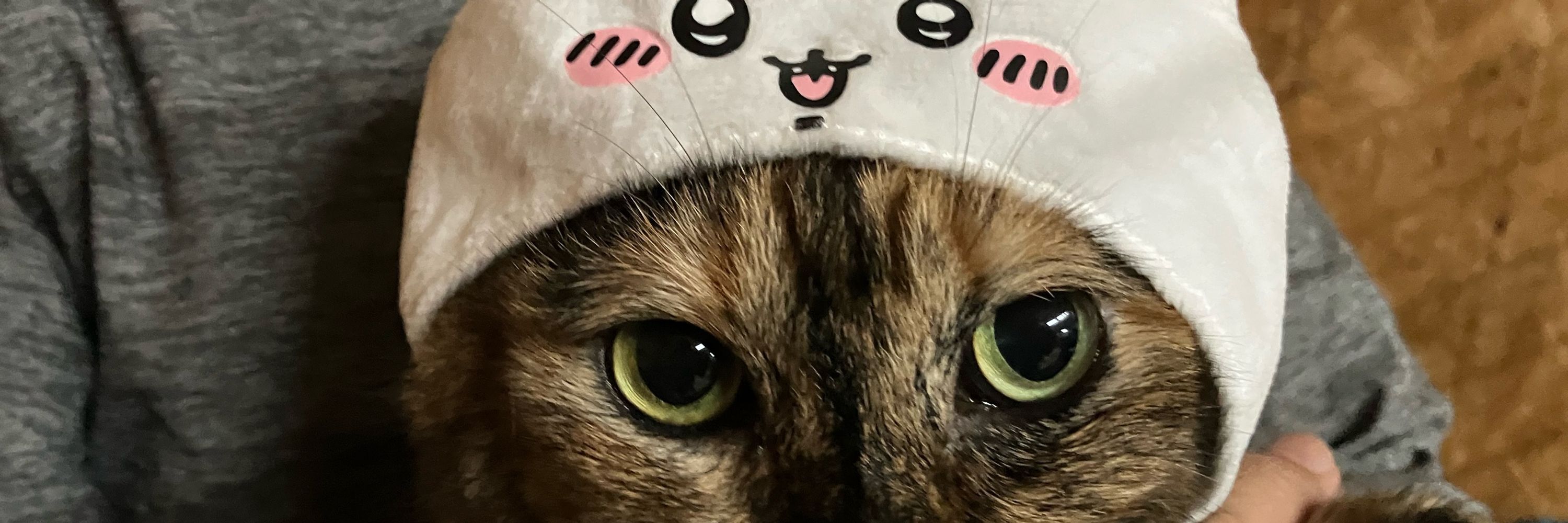 まだらねこ