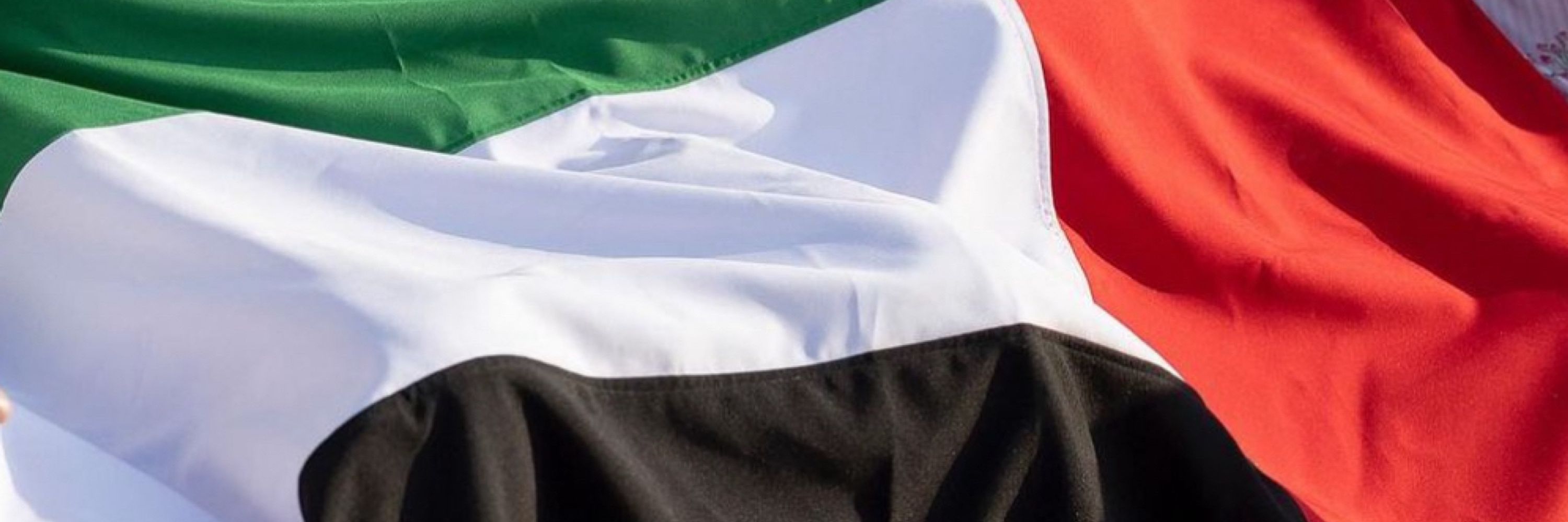 Omar Al-Saedi 