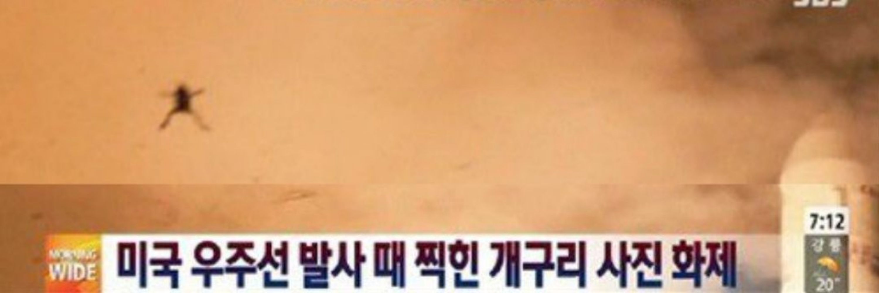 청개꼴이