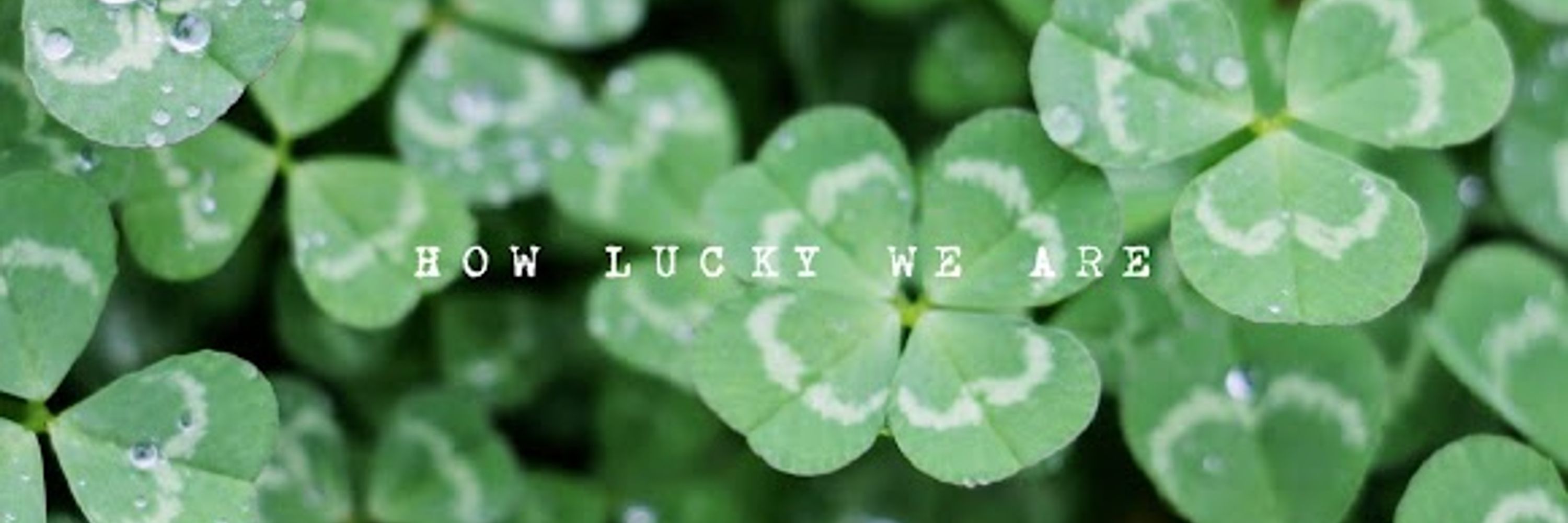 Clover🍀