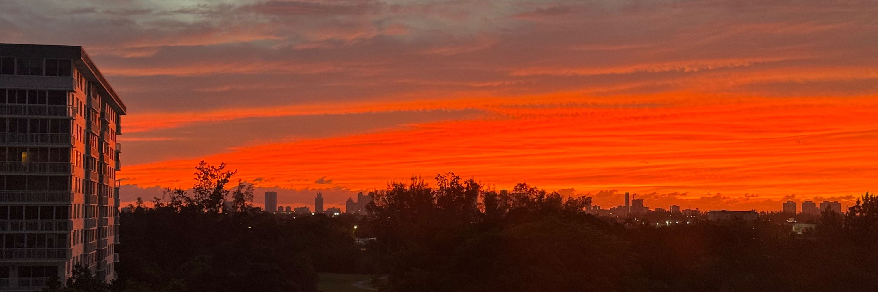 South Florida Associated Phenomenologists (S.F.A.P.)