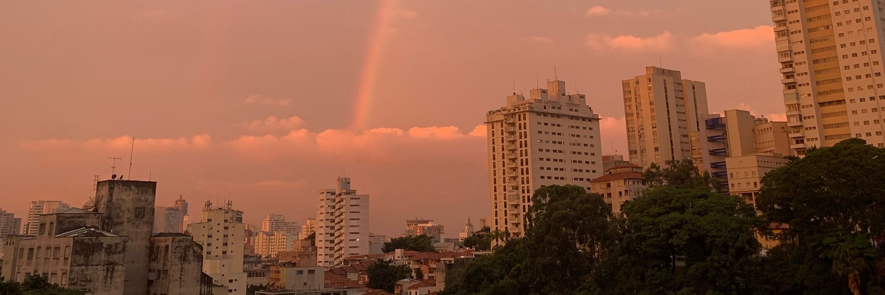 luiza duso