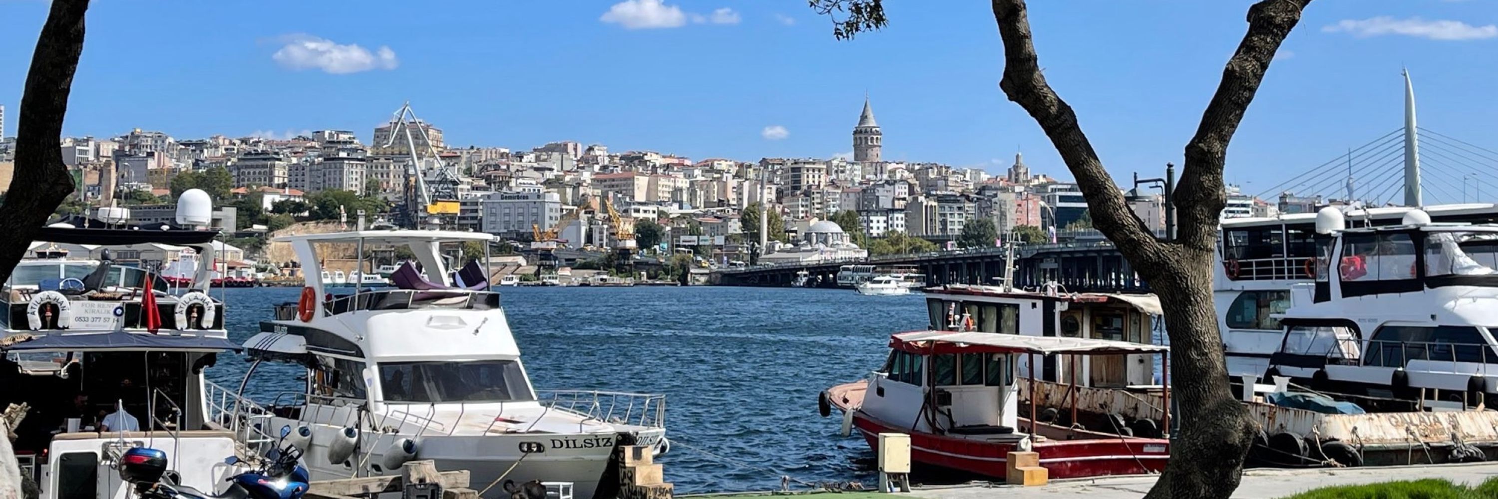 Onur Isci