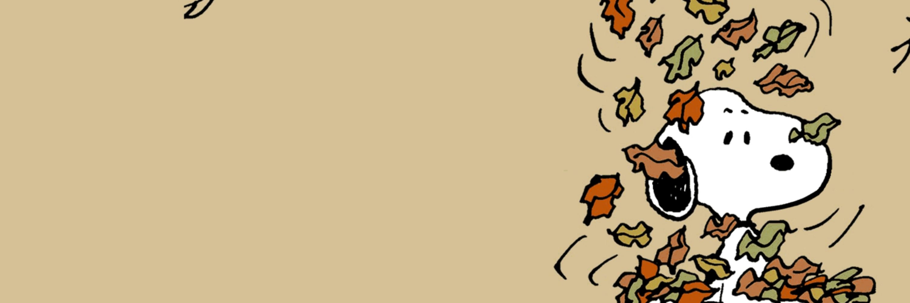 Mj