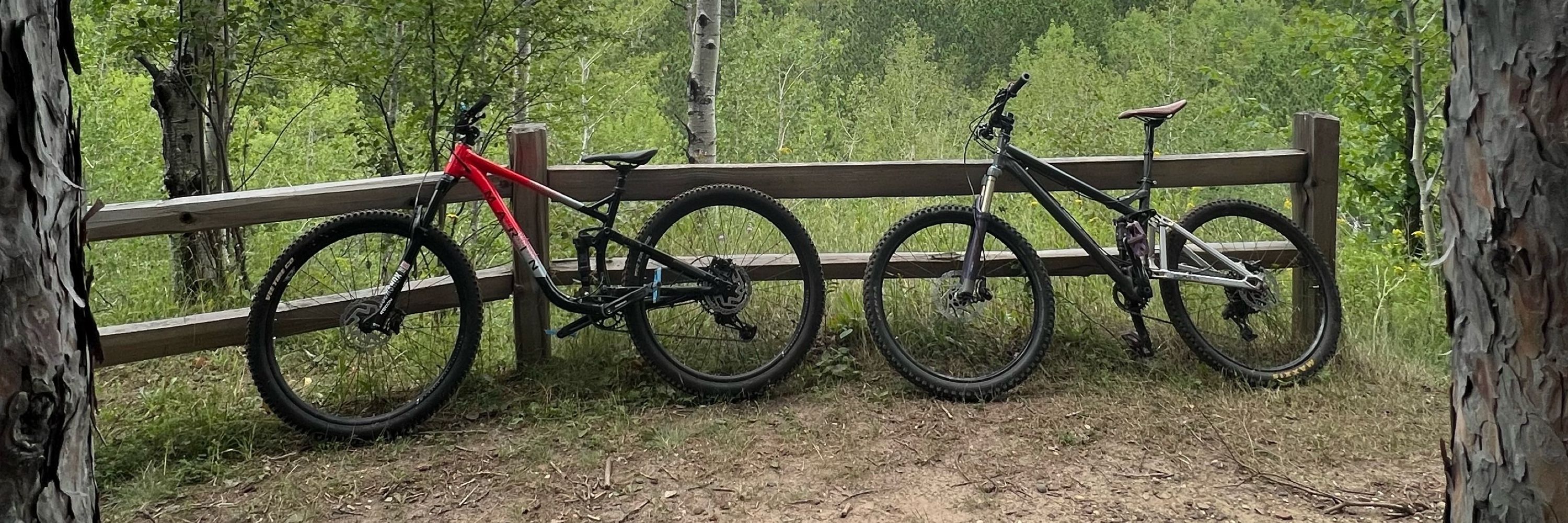 BikingFox