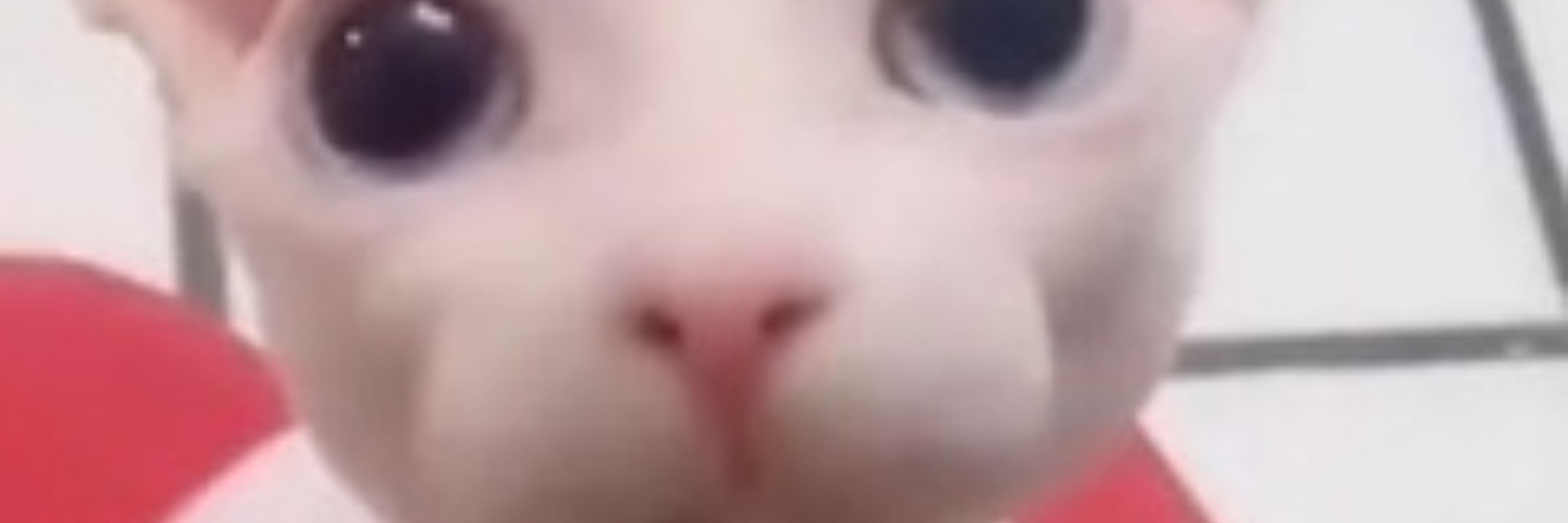 ramei