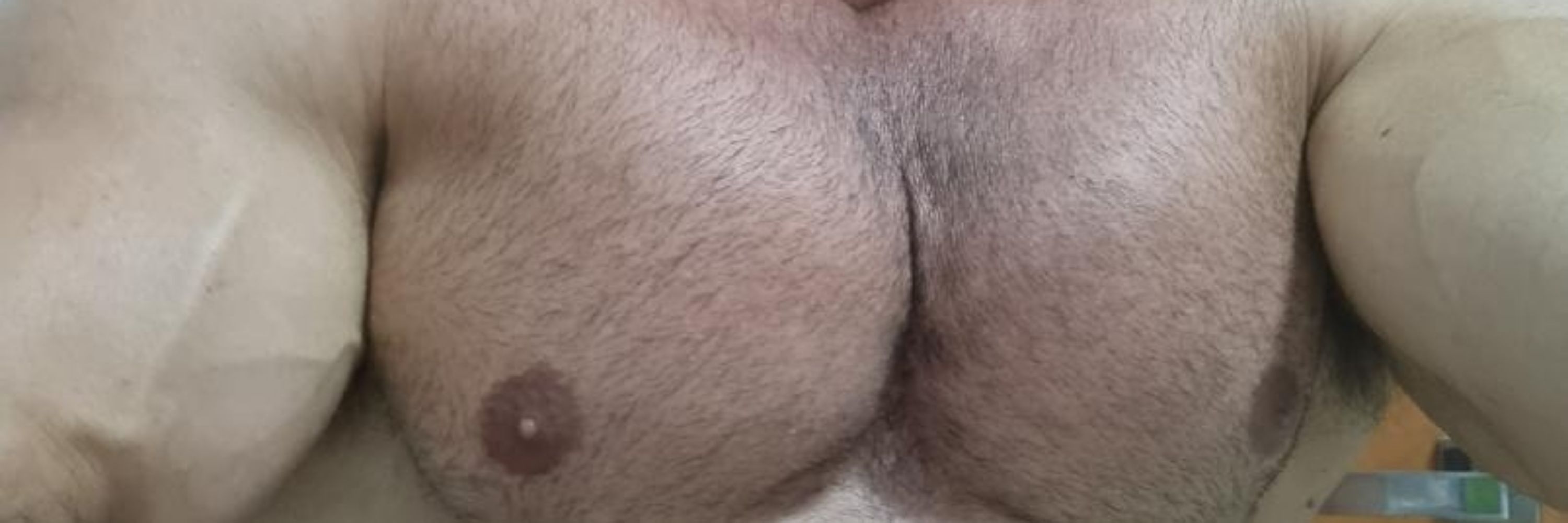 Bear-bodybuilder