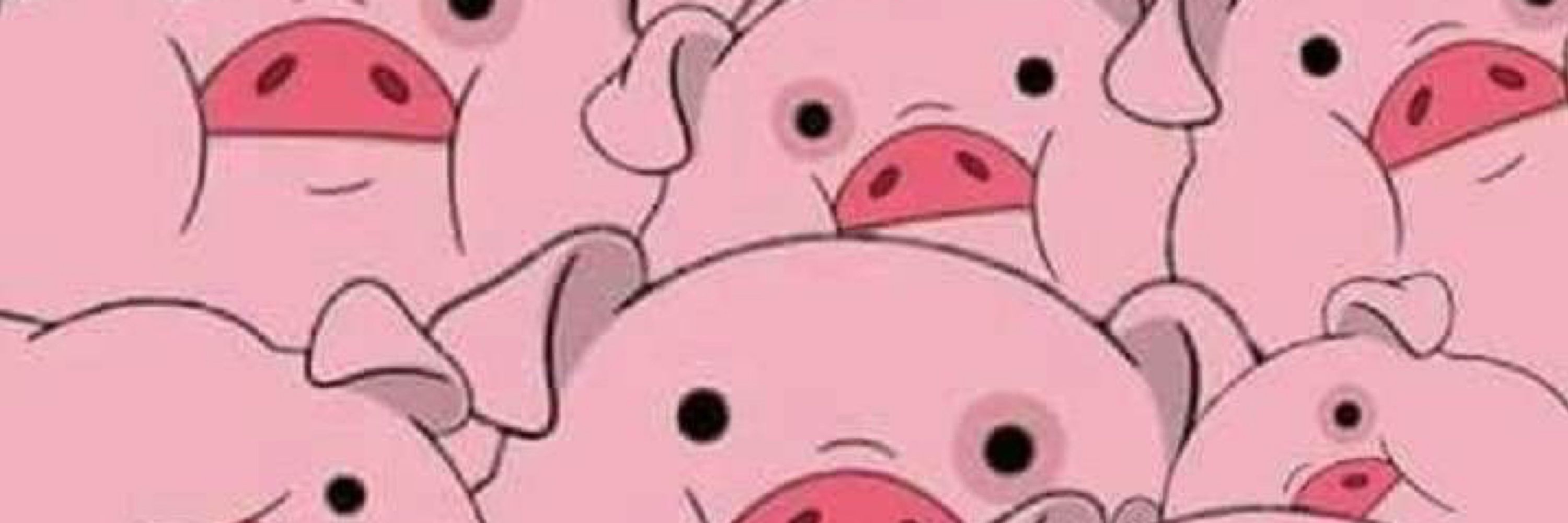 Piggy Cub 