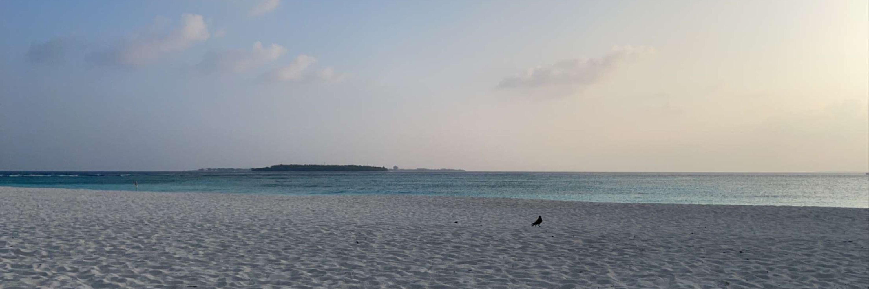🏝Sam荒aஅரைr井ai