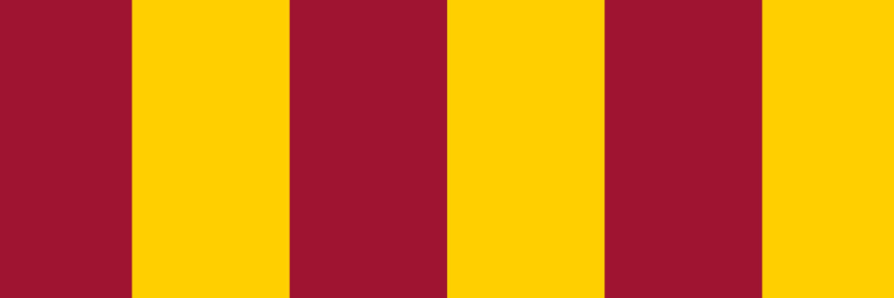 Northern Independence Party