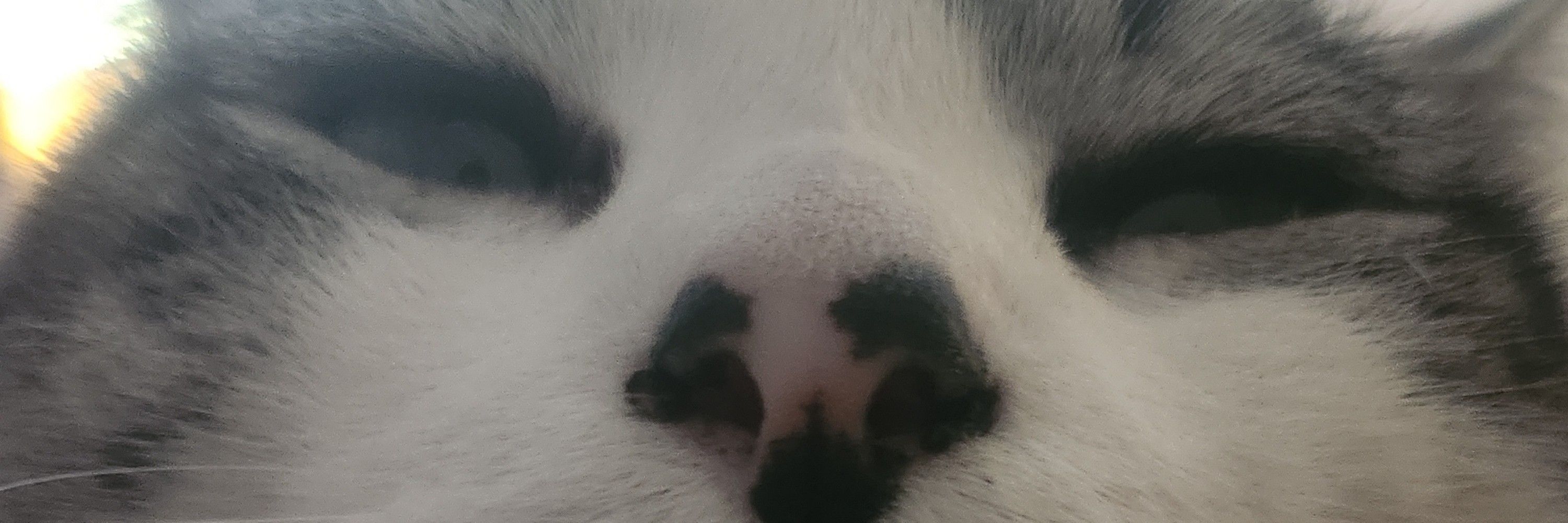 And