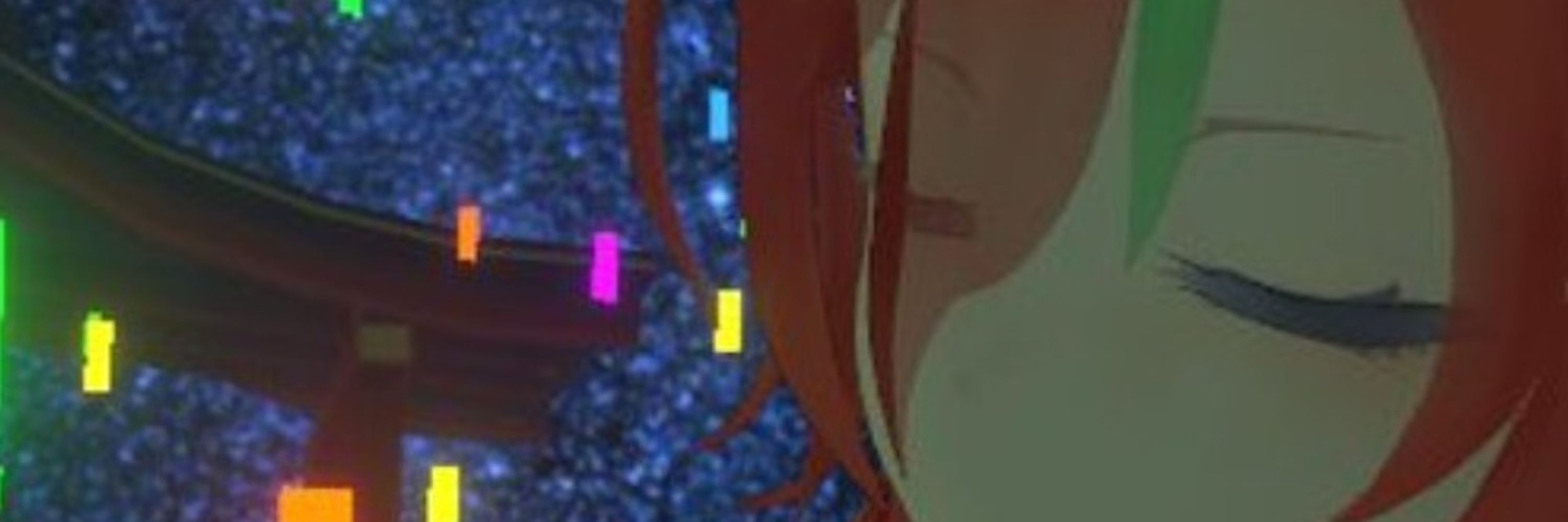 みふ かな