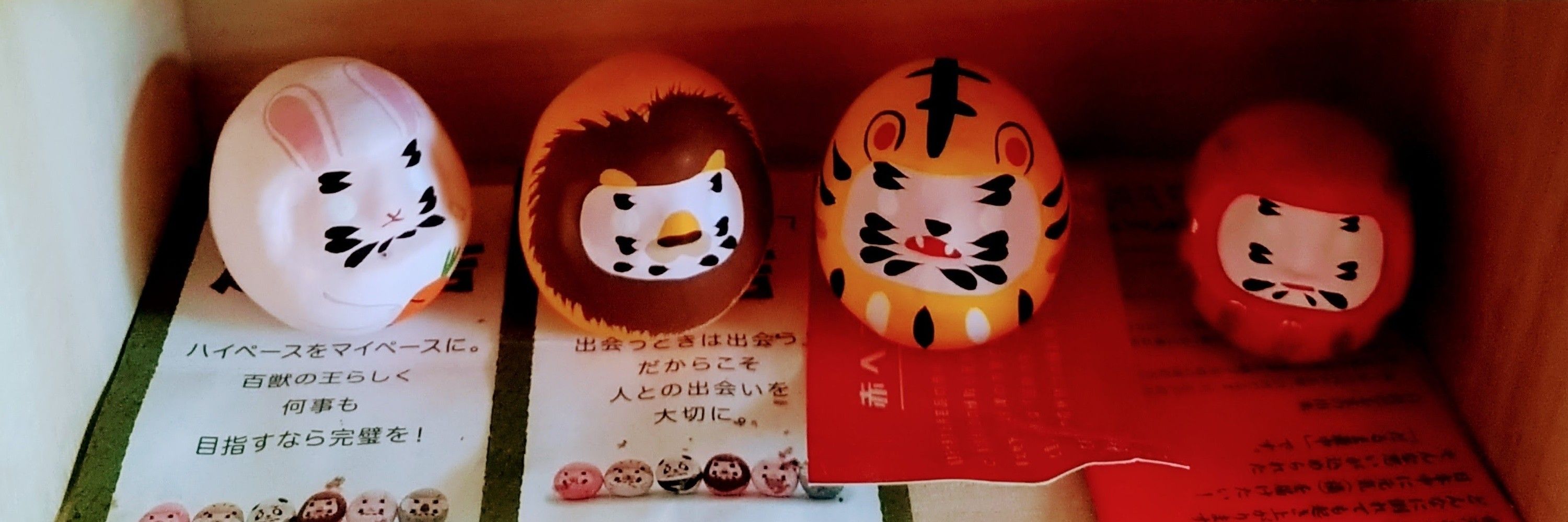 七