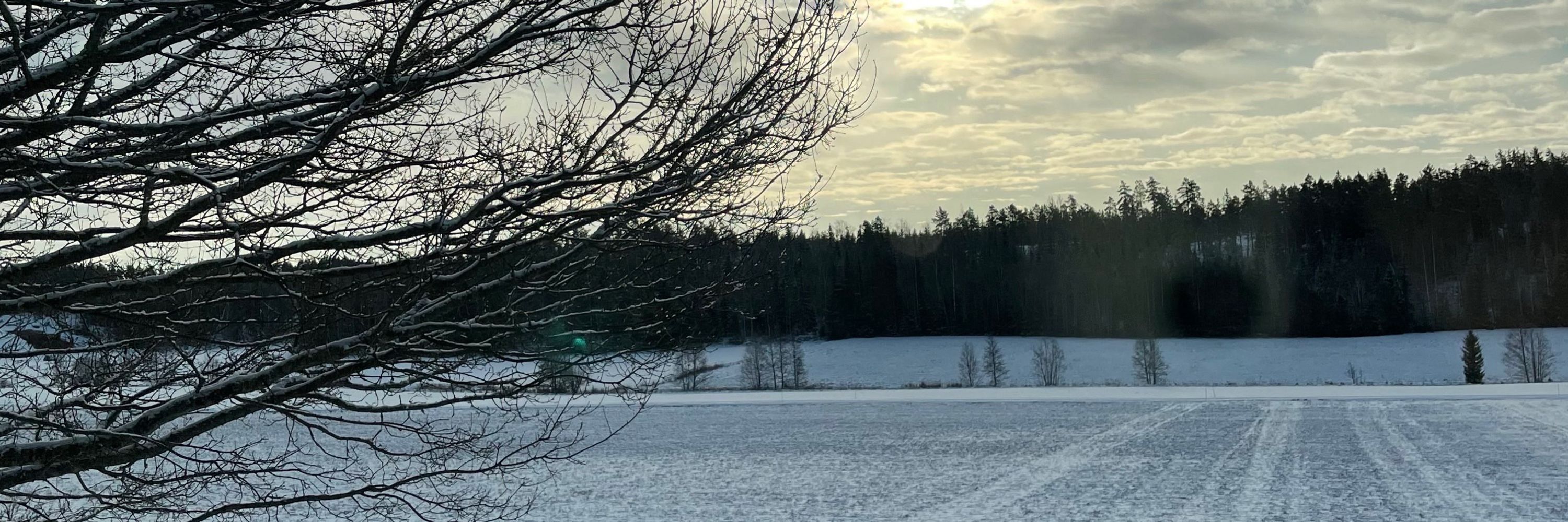 Annukka Paasivirta
