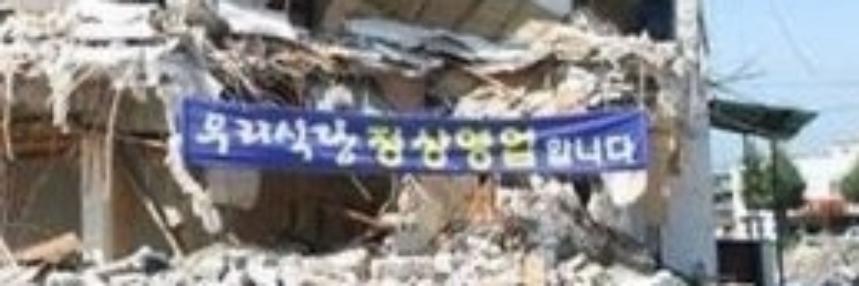 동죽