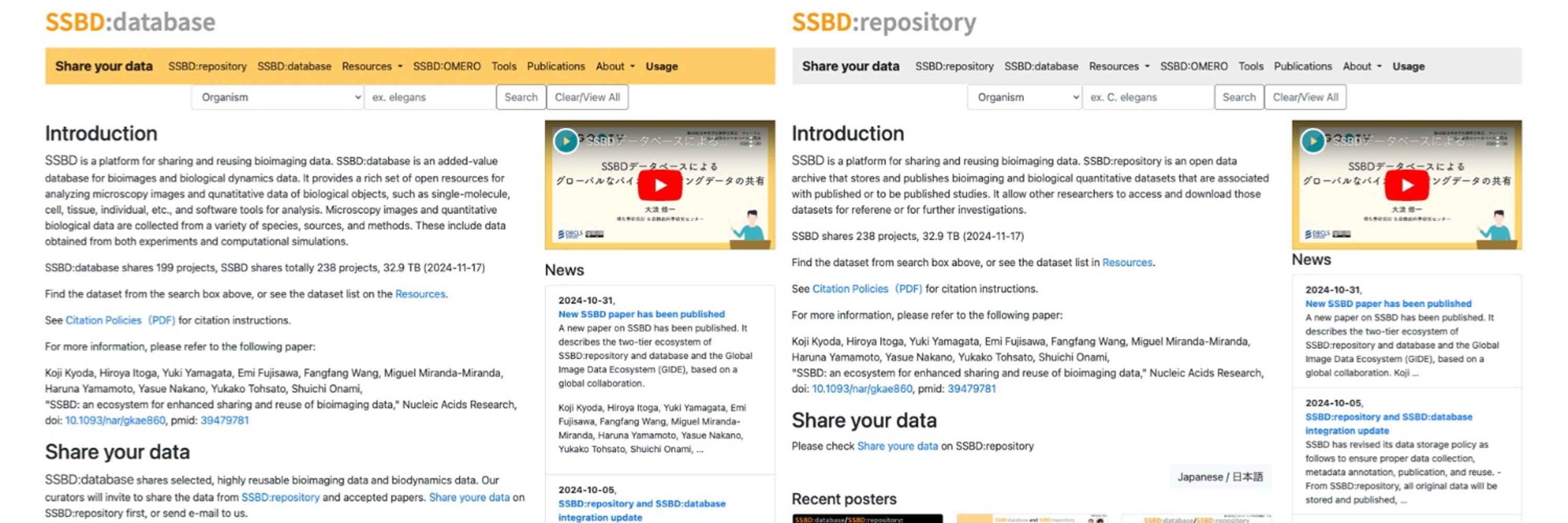 SSBD - SSBD:database and SSBD:repository