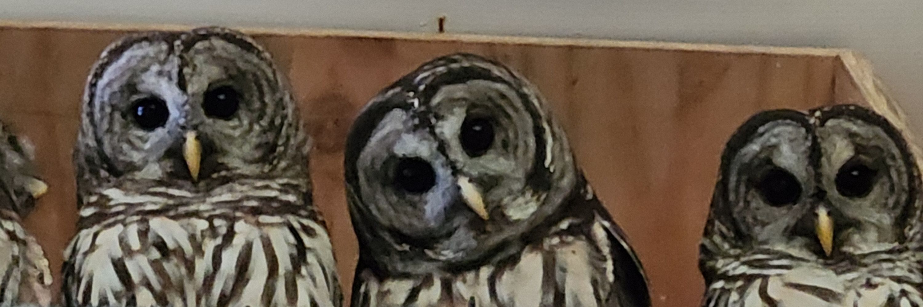Nancy McDonald 🏳️‍🌈🦉⛵🦅