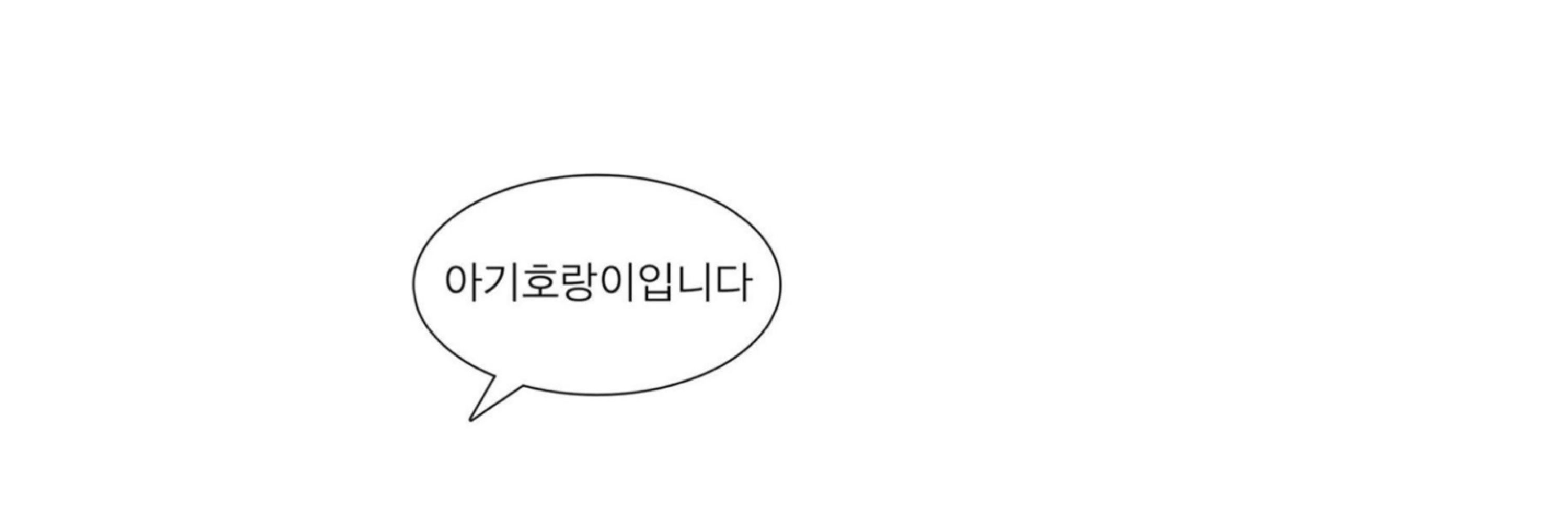 호랑범